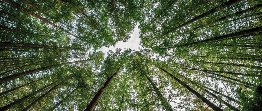 钱柜qg777(中国游)唯一官方网站