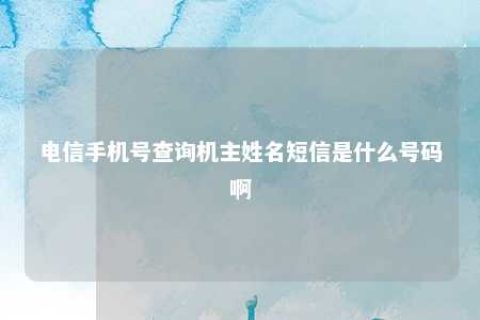 电信手机号盘问机主姓名短信是什么号码啊